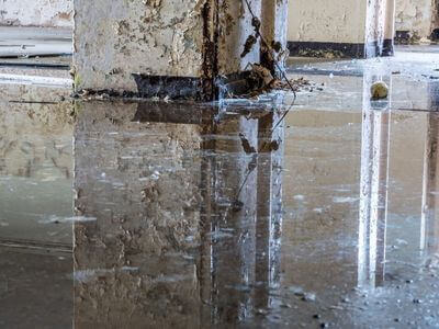 About Quick Response Water Damage Restoration to Protect Your Property - water damage restoration experts in Brookside, AL